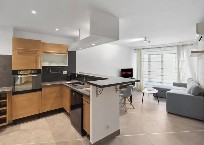 Apartamento Le Grimaldi - Spacious - Ac - Wifi - Hypercentre *